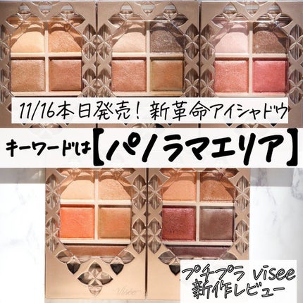 パノラマデザイン アイパレット/Visée/アイシャドウパレットを使ったクチコミ(1枚目)