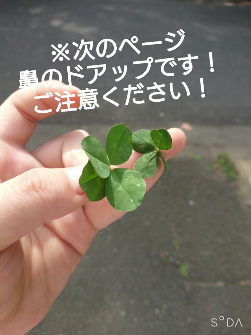 オバジC 酵素洗顔パウダー/オバジ/洗顔パウダーを使ったクチコミ(4枚目)