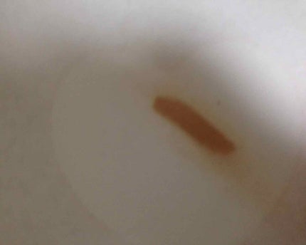 UR GLAM SHADING POWDER/U R GLAM/シェーディングを使ったクチコミ(3枚目)