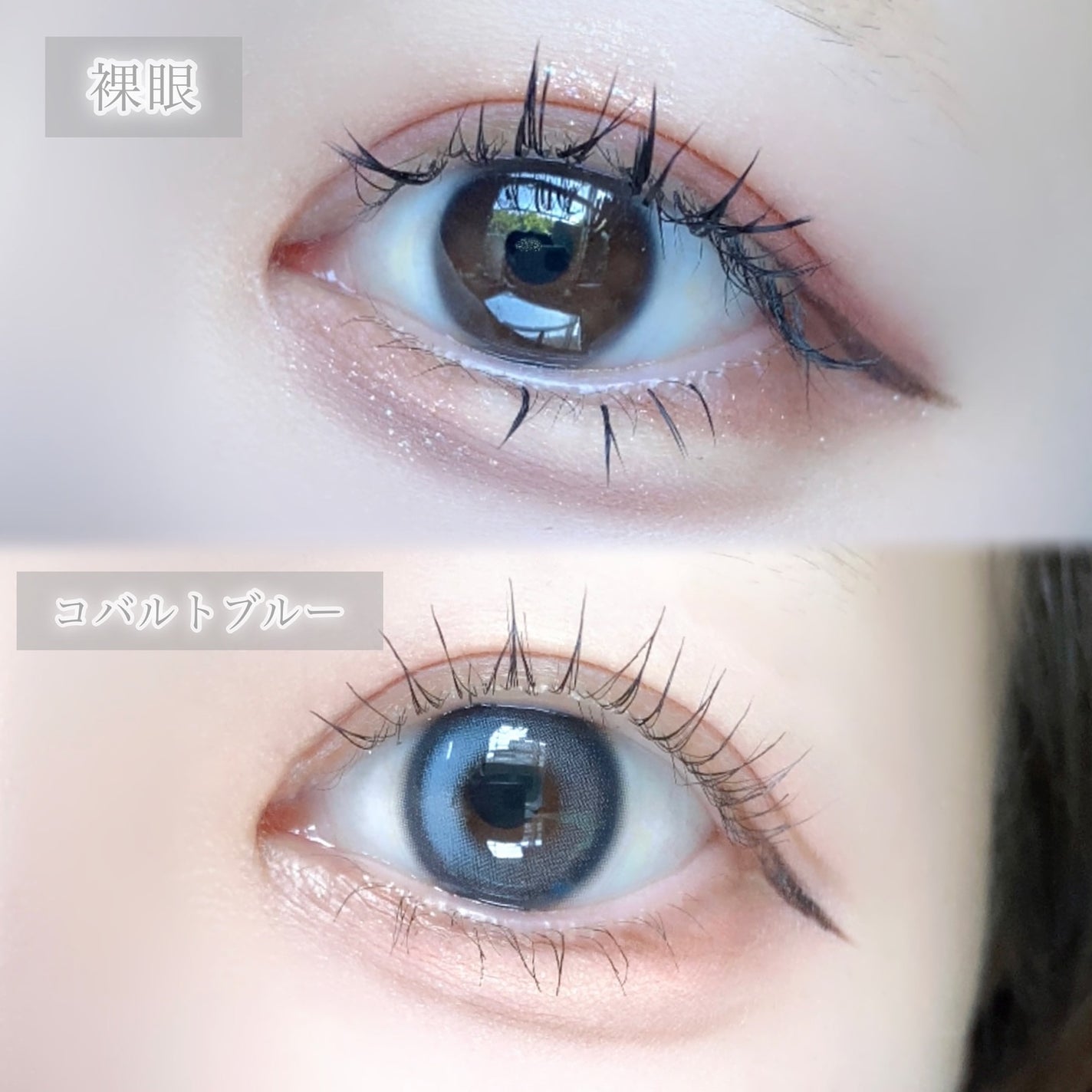 びゃっこまる on LIPS 「イギリスのファッションブランド『VIVIENNEWESTWOO..」(6枚目)