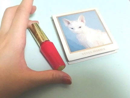 Venus Marble アイシャドウキャットシリーズ/Venus Marble/アイシャドウパレットを使ったクチコミ(5枚目)