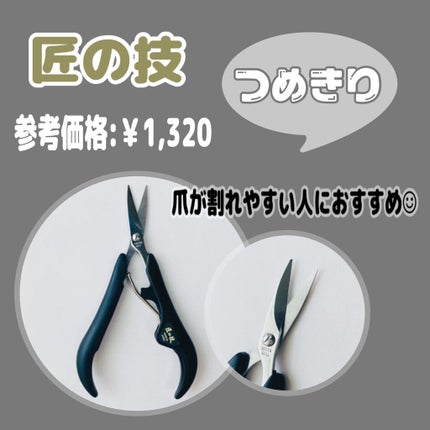 スリムニッパーつめきり/グリーンベル/その他を使ったクチコミ(1枚目)