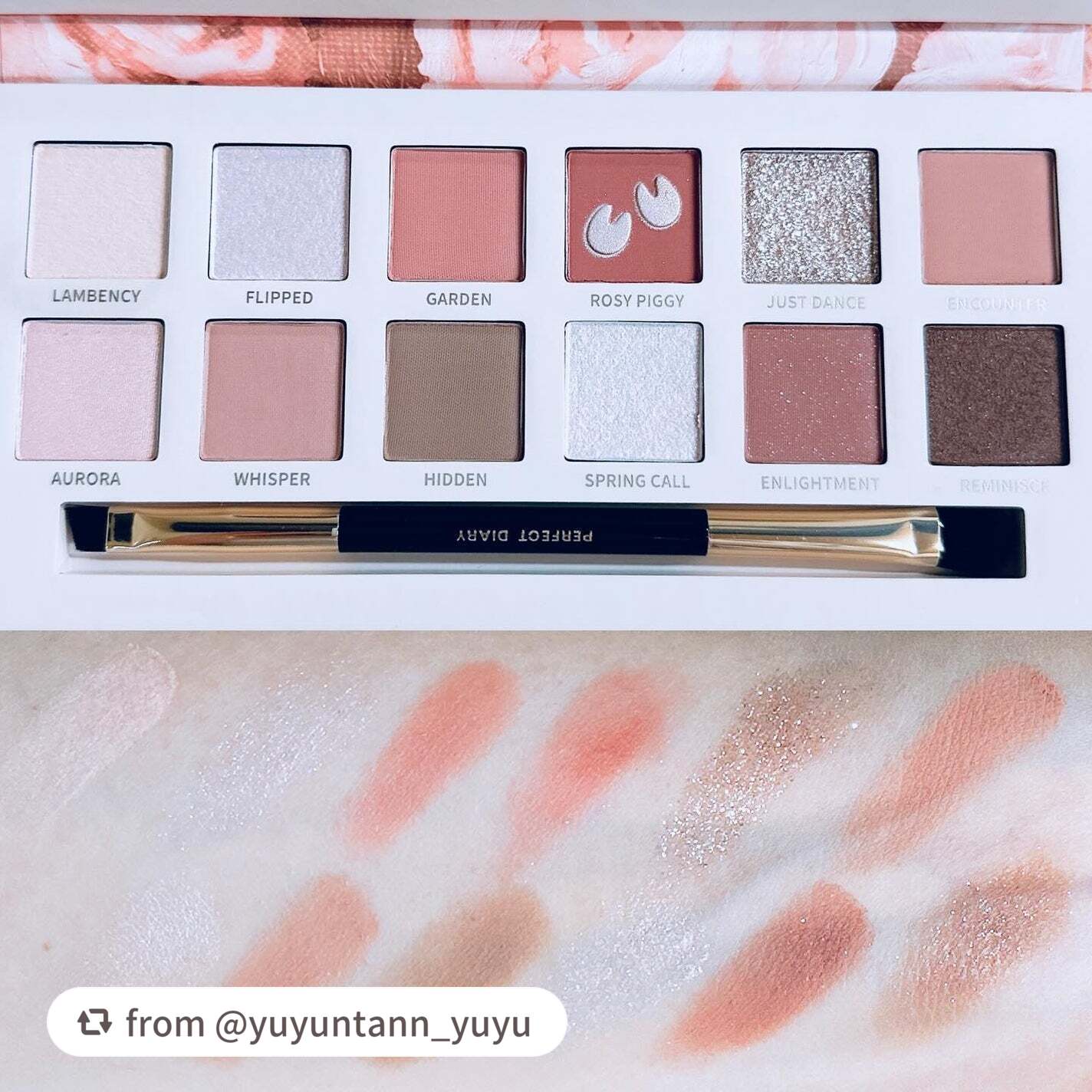 エクスプローラ12色 動物アイシャドウパレット/PERFECT DIARY/アイシャドウパレットを使ったクチコミ(3枚目)