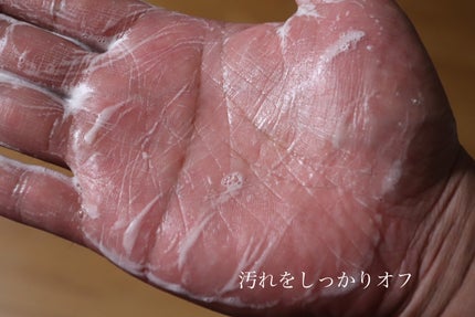 SEボディウォッシュ/ゴリラコスメティクス/ボディソープを使ったクチコミ(3枚目)