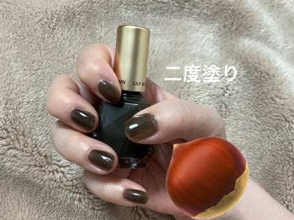 ジュエルズ ネイルポリッシュ/LILY BROWN/マニキュアを使ったクチコミ(3枚目)