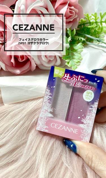 〖CEZANNE〗 ブルベさん向き!!夜に咲く桜のような青みピンクのフェイスカラーです︎⸜❤︎⸝

CEZANNEの60周年記念コスメで数量限定で発売されてるこのフェイスカラー🌸✨

ほとんど完売してる