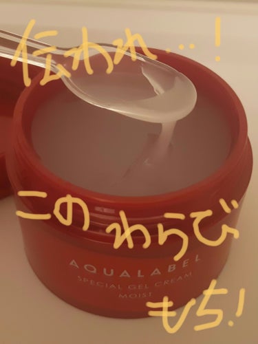 スペシャルジェルクリーム EX(モイスト)/アクアレーベル/オールインワン化粧品を使ったクチコミ（4枚目）