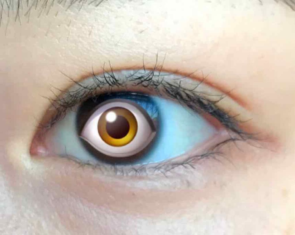 クイックラッシュカーラー/キャンメイク/マスカラ下地を使ったクチコミ（2枚目）