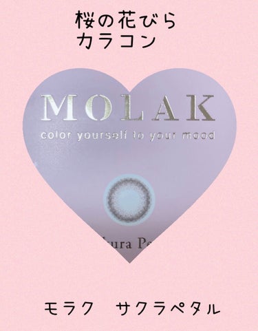 MOLAK 1day/MOLAK/ワンデー（１DAY）カラコンを使ったクチコミ（1枚目）