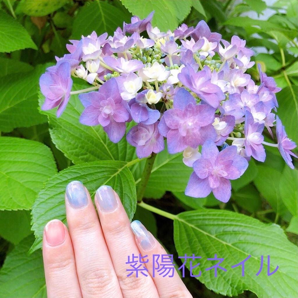 ナチュラルネイルカラーN/デュカート/マニキュアを使ったクチコミ(1枚目)