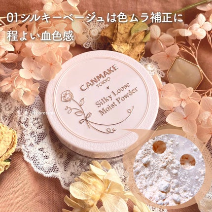 シルキールースモイストパウダー/キャンメイク/ルースパウダーを使ったクチコミ(9枚目)