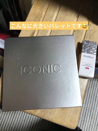 ICONIC LONDON eyeshadow palette/ICONIC LONDON/アイシャドウパレットを使ったクチコミ（3枚目）