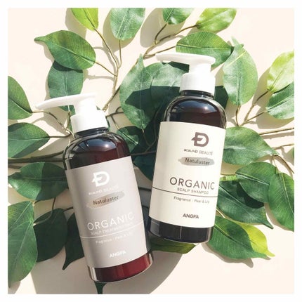 スカルプD ボーテ ナチュラスター スカルプシャンプー/トリートメントパック/アンファー(スカルプD)/シャンプー・コンディショナーを使ったクチコミ(1枚目)