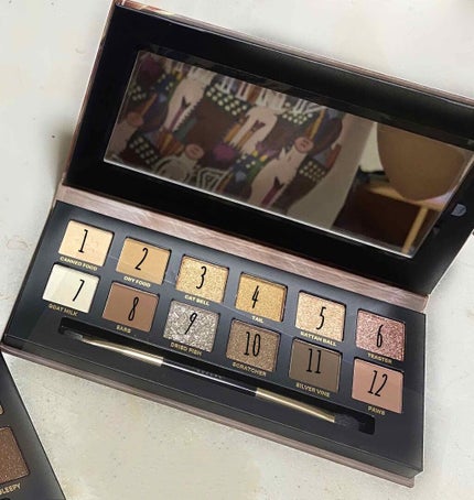 エクスプローラ12色 動物アイシャドウパレット/PERFECT DIARY/アイシャドウパレットを使ったクチコミ(2枚目)