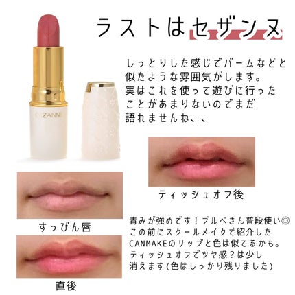 ラスティング リップカラーN/CEZANNE/口紅を使ったクチコミ(4枚目)