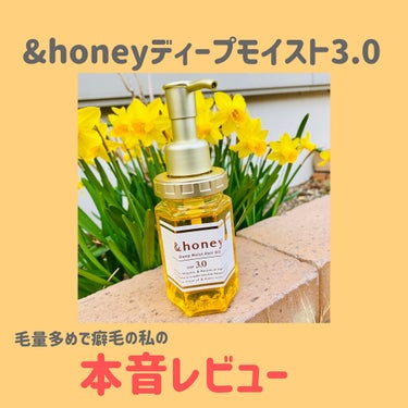 ディープモイスト ヘアオイル3.0/&honey/ヘアオイルを使ったクチコミ（1枚目）