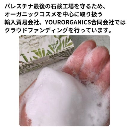 ひろりん【敏感肌、混合肌、揺らぎ肌、エイジングケア】 on LIPS 「こんにちわ ひろりんです(´͈ᵕ`͈)♡パレスチナには伝統的な..」(6枚目)