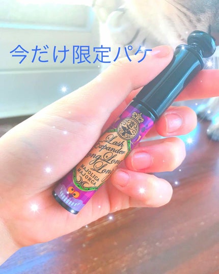 ラッシュエキスパンダー ロングロングロング/MAJOLICA MAJORCA/マスカラを使ったクチコミ(1枚目)