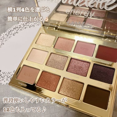 タルトレット Ｅ  アマゾニアンクレイ パレット/tarte/アイシャドウパレットを使ったクチコミ（2枚目）