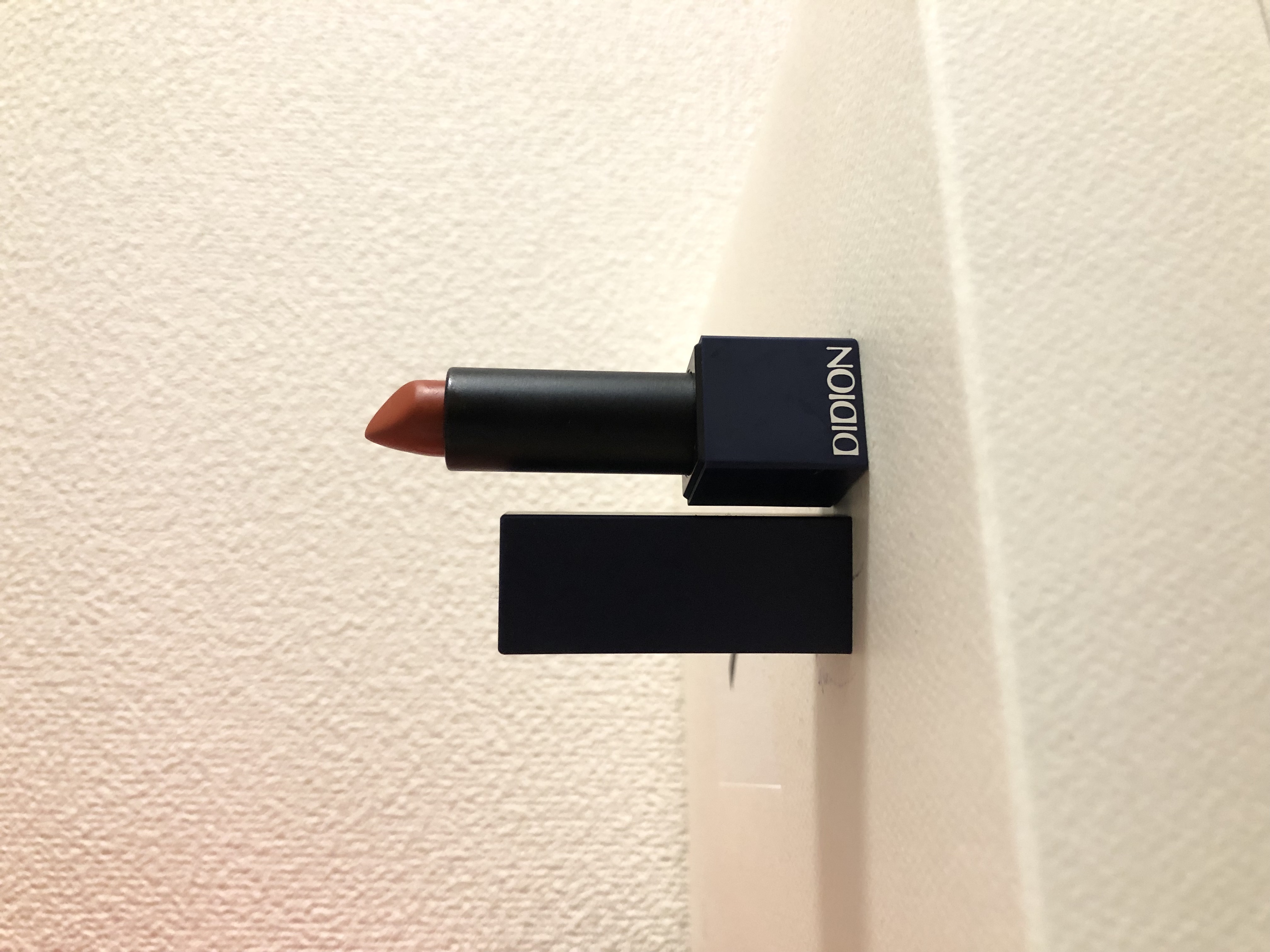 プランピングリップスティック 02 Preacher Man/DIDION/口紅を使ったクチコミ（1枚目）