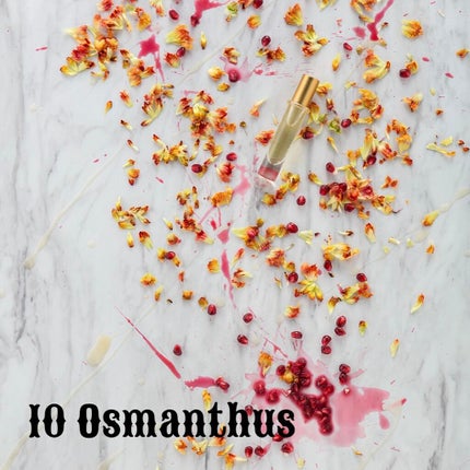 The ORIGINAL PERFUME OIL /The PERFUME OIL FACTORY/香水(レディース)を使ったクチコミ(4枚目)