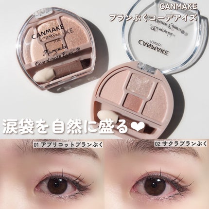 プランぷくコーデアイズ/キャンメイク/パウダーアイシャドウを使ったクチコミ(8枚目)