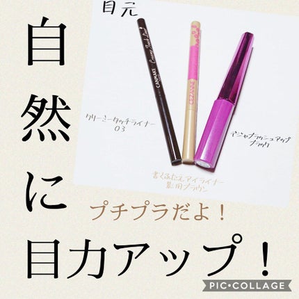 クリーミータッチライナー/キャンメイク/ジェルアイライナーを使ったクチコミ(1枚目)
