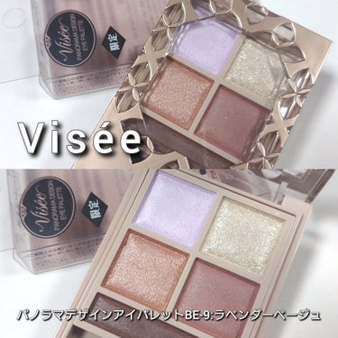 パノラマデザイン アイパレット/Visée/アイシャドウパレットを使ったクチコミ（2枚目）