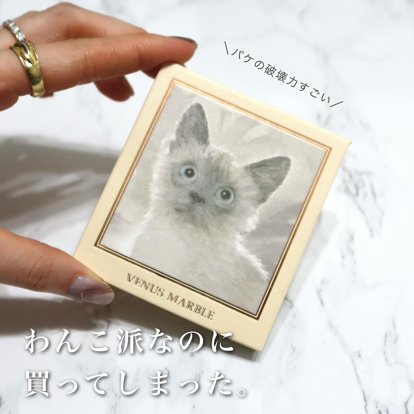 Venus Marble アイシャドウキャットシリーズ シャム猫/Venus Marble/アイシャドウパレットを使ったクチコミ（2枚目）