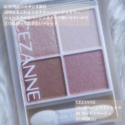 ペールトーンアイシャドウ/CEZANNE/アイシャドウを使ったクチコミ(2枚目)