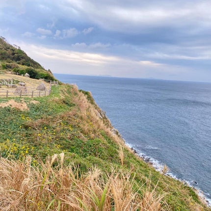 ウィークリージェル/HOMEI/ジェルネイルを使ったクチコミ(6枚目)