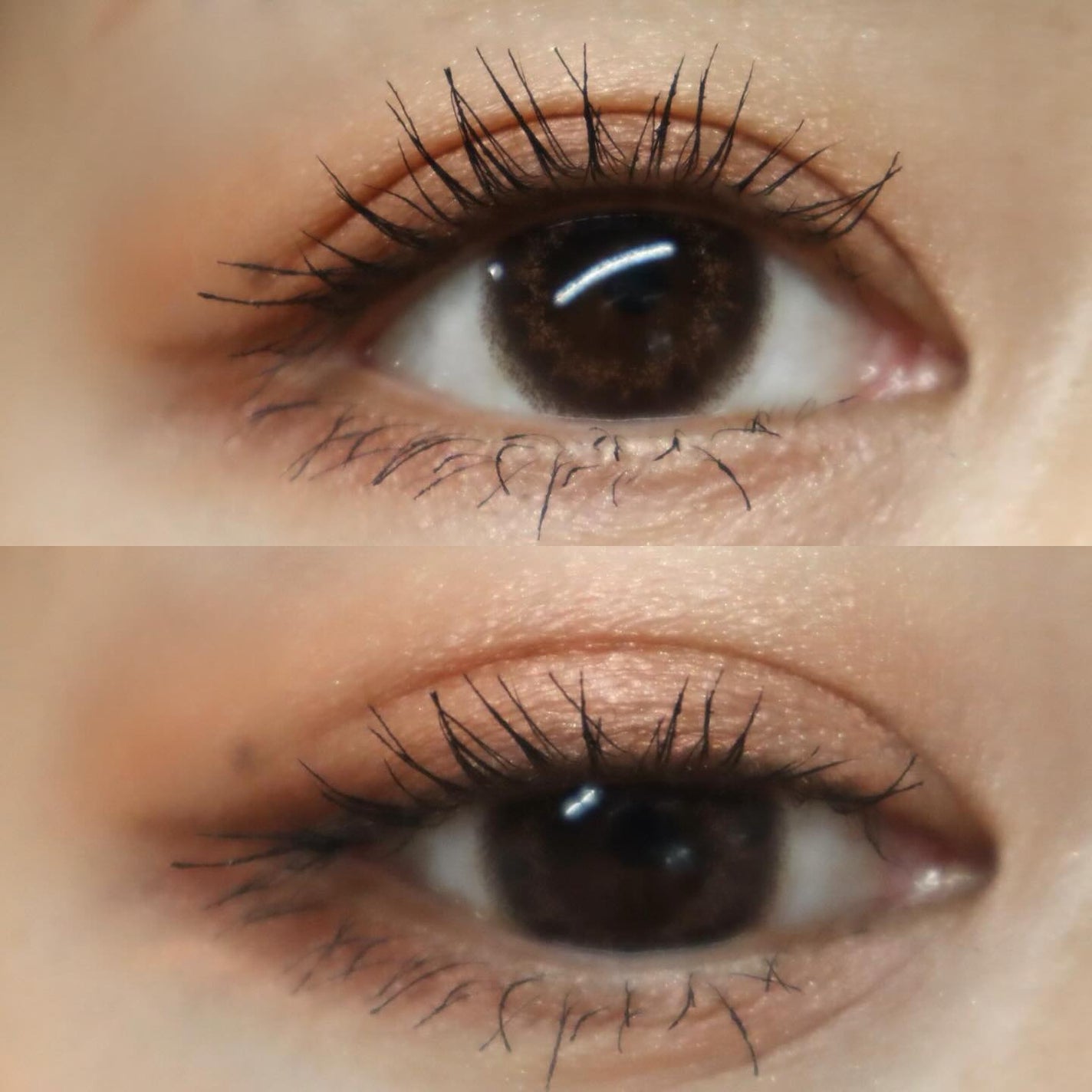 デザイニングブラウンアイズ/KATE/アイシャドウパレットを使ったクチコミ(6枚目)