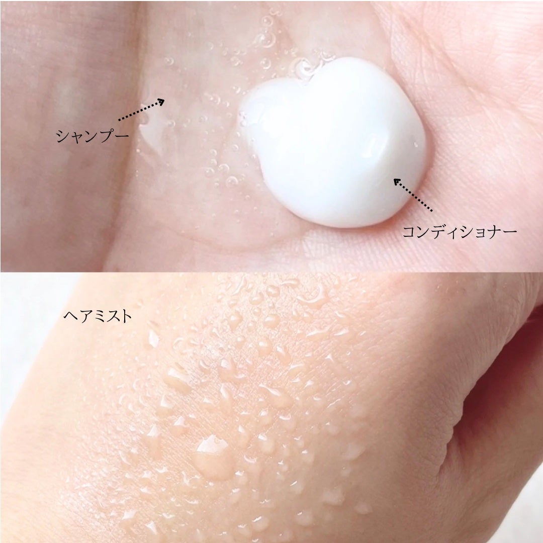 SS ビオリス ピュアレタッチ ぱやとぅや シャンプー/ヘアコンディショナー/SSビオリス/市販シャンプーを使ったクチコミ(2枚目)