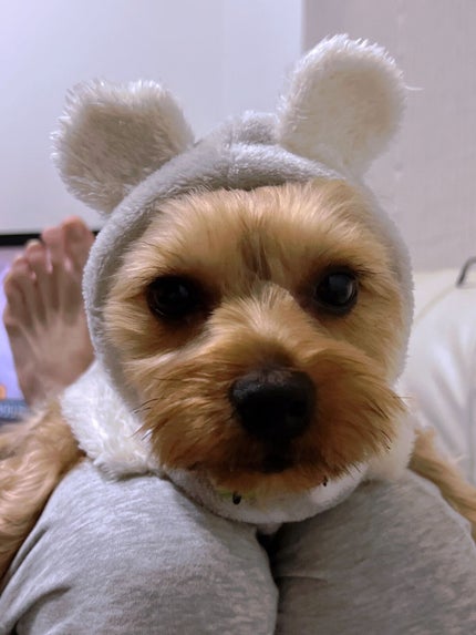 セラミエイド 薬用スキンクリーム/セラミエイド/フェイスクリームを使ったクチコミ(4枚目)