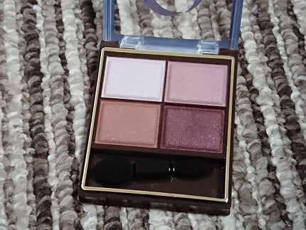 スキニーリッチシャドウ/excel/アイシャドウパレットを使ったクチコミ(2枚目)