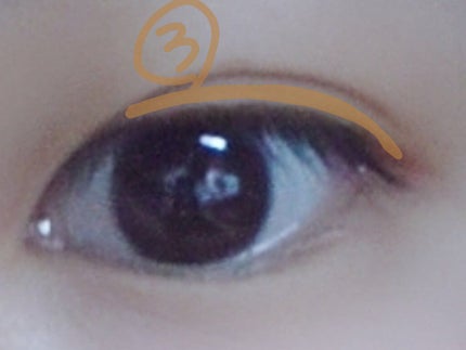 WHY NOT SPINNS 3色アイシャドウ アッシュ/DAISO/アイシャドウパレットの画像