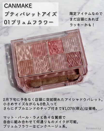 プティパレットアイズ/キャンメイク/パウダーアイシャドウを使ったクチコミ(2枚目)