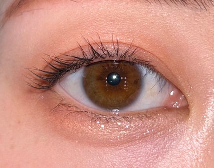 プロ アイ パレット エアー/CLIO/アイシャドウパレットを使ったクチコミ(6枚目)