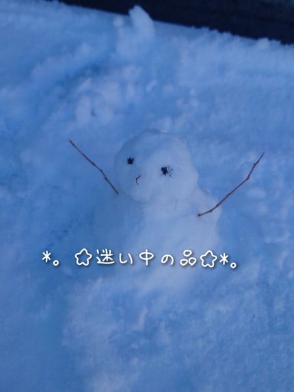 ダルバ ホワイトトリュフファーストスプレーセラム/ダルバ/ミスト状化粧水を使ったクチコミ(6枚目)