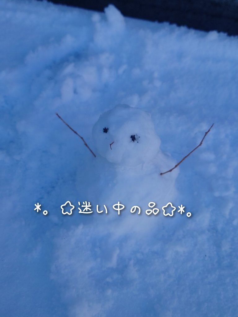 シャドウパレット/dasique/アイシャドウパレットを使ったクチコミ(3枚目)