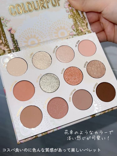 Pressed Powder Shadow /ColourPop/パウダーアイシャドウを使ったクチコミ（2枚目）