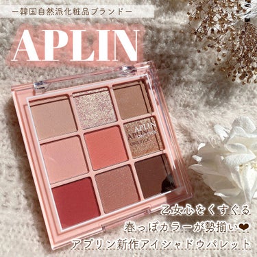 ワンピックアイシャドウパレット/APLIN/アイシャドウパレットを使ったクチコミ（1枚目）