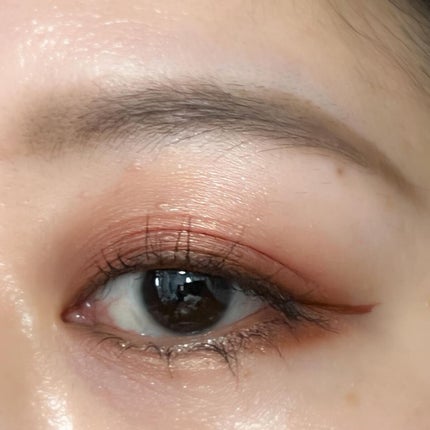 アディクション ザ アイシャドウ パレット/ADDICTION/アイシャドウパレットを使ったクチコミ(6枚目)