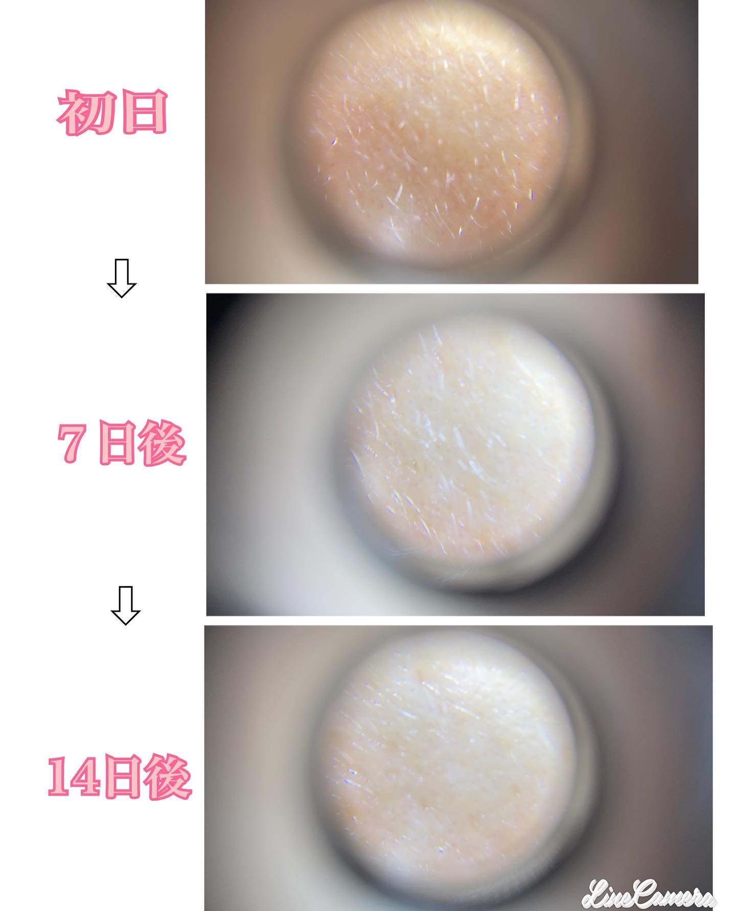 を使ったクチコミ（3枚目）