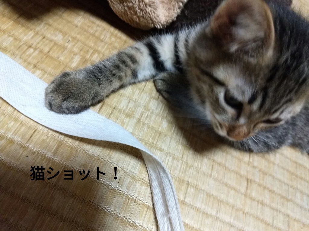 1日分の野菜/伊藤園/野菜ジュースを使ったクチコミ(3枚目)