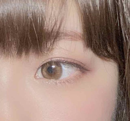 グロッシーリッチ アイズ N/Visée/アイシャドウパレットを使ったクチコミ(2枚目)