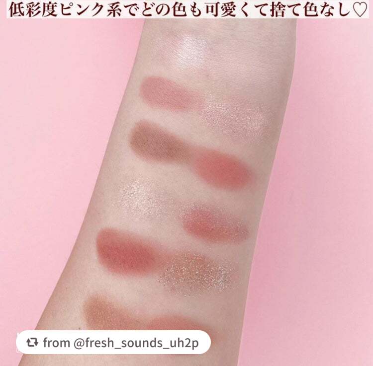 エクスプローラ12色 動物アイシャドウパレット/PERFECT DIARY/アイシャドウパレットを使ったクチコミ(4枚目)