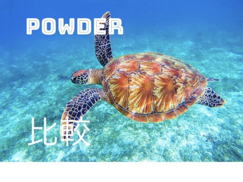 スキンケアパウダー/素肌記念日/プレストパウダーを使ったクチコミ（1枚目）