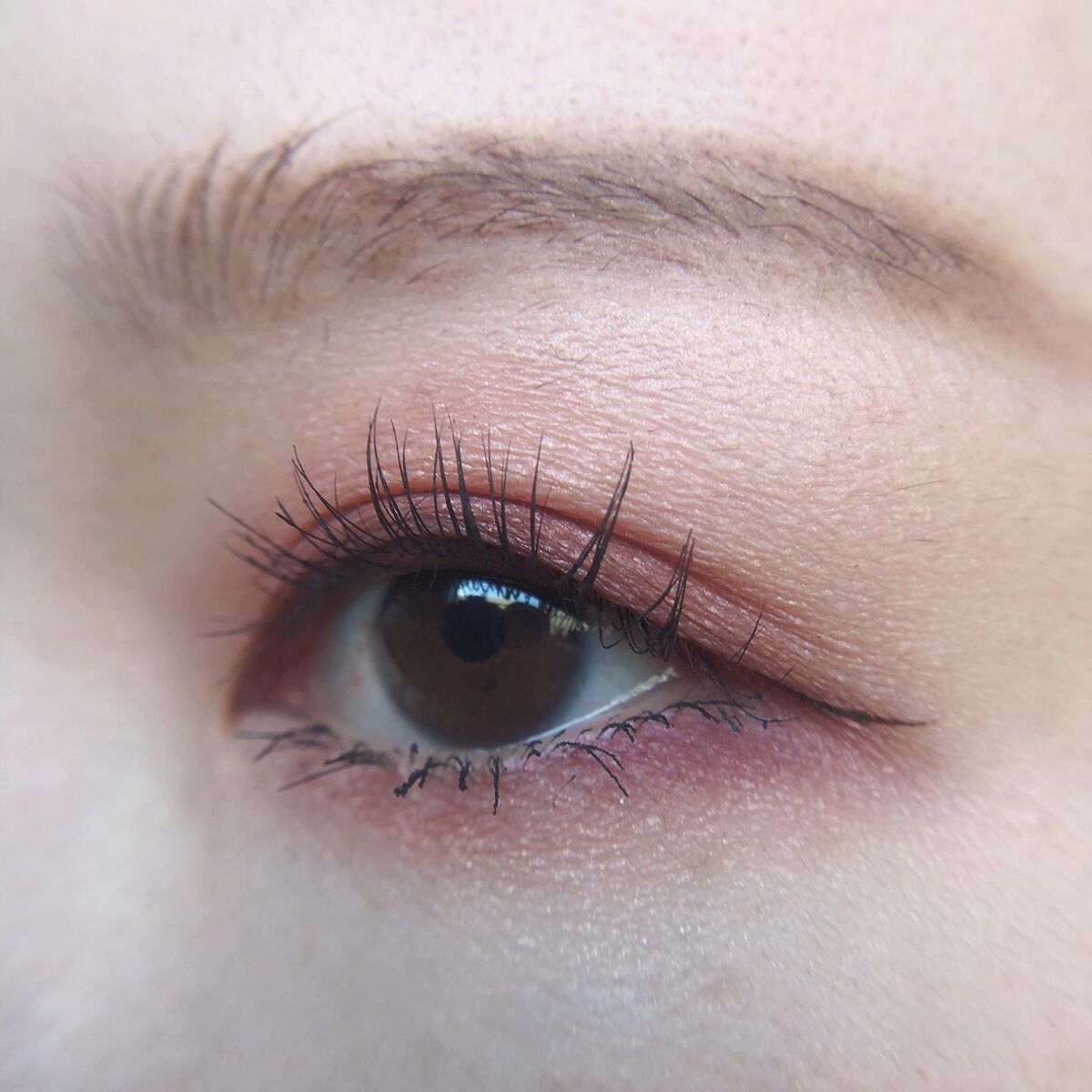 あゆみ on LIPS 「・\#todaysmake/・アイシャドウ☑@chanel.b..」(3枚目)