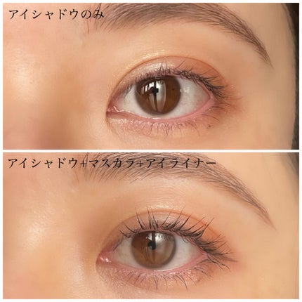 カネボウ デュアルアイライナー(カラー)/KANEBO/リキッドアイライナーを使ったクチコミ(9枚目)